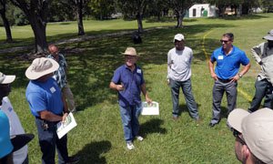 Sports Turf Weed Identification